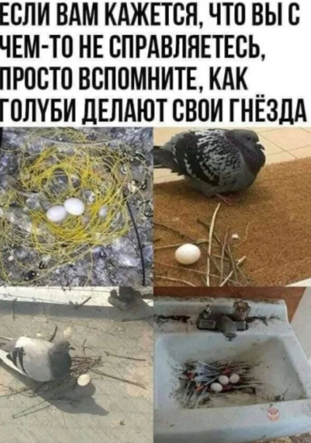 Хаос и радость: почему беспорядок иногда делает нас счастливее