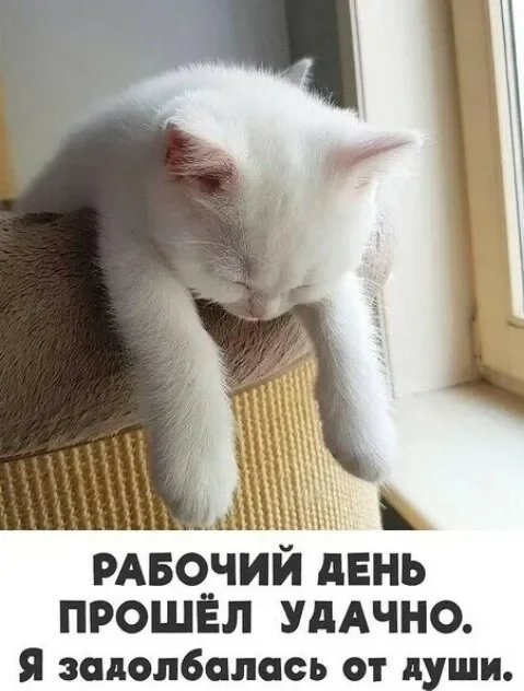 Заряд позитива на среду: картинки для солнечного настроения