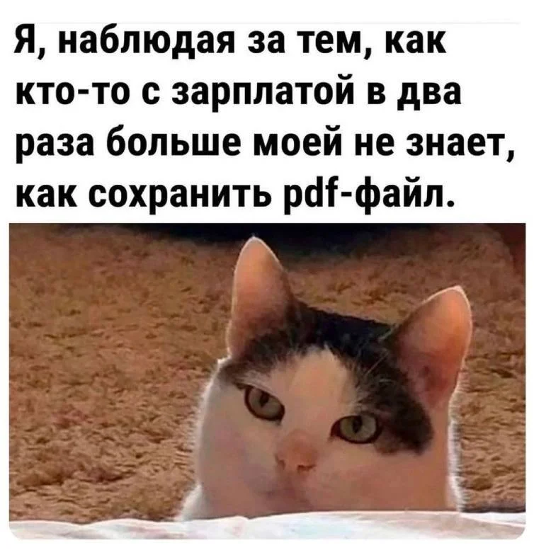 Маленькая пятница: зарядка позитивом в виде свежих мемов