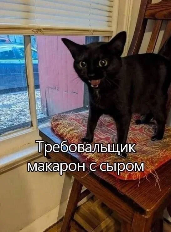 Заряд позитива на среду: картинки для солнечного настроения