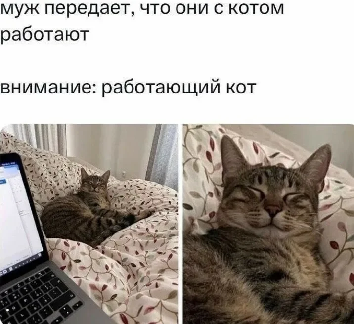 Заряд позитива на среду: картинки для солнечного настроения