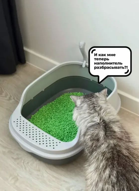 Заряд позитива на среду: картинки для солнечного настроения