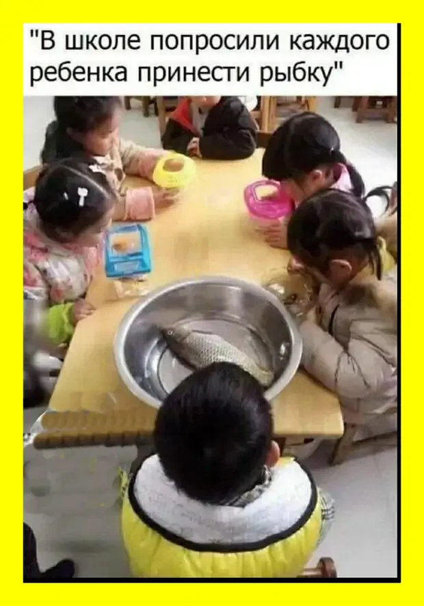 Сборник свежих анекдотов для поднятия настроения