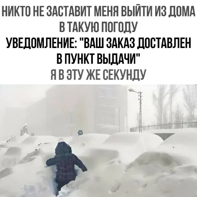 Маленькая пятница: зарядка позитивом в виде свежих мемов