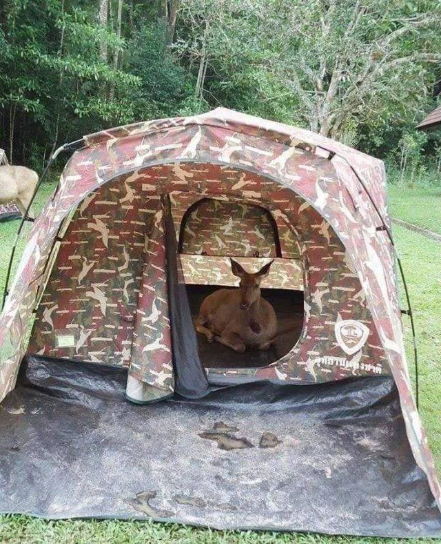 Заряд позитива на среду: картинки для солнечного настроения