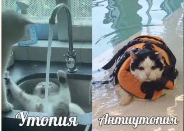 Неожиданный юмор: картинки, от которых невозможно не улыбнуться