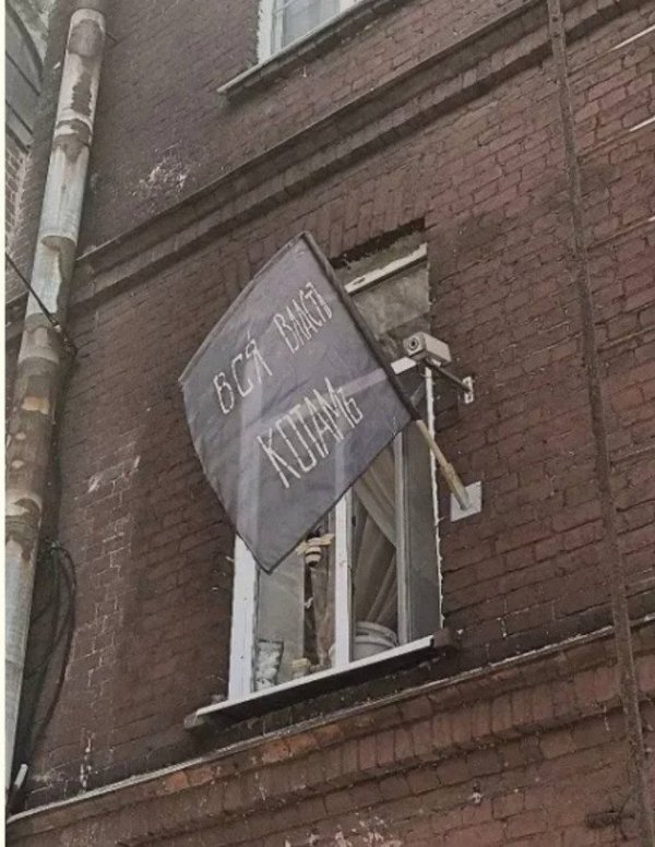 Неожиданный юмор: картинки, от которых невозможно не улыбнуться