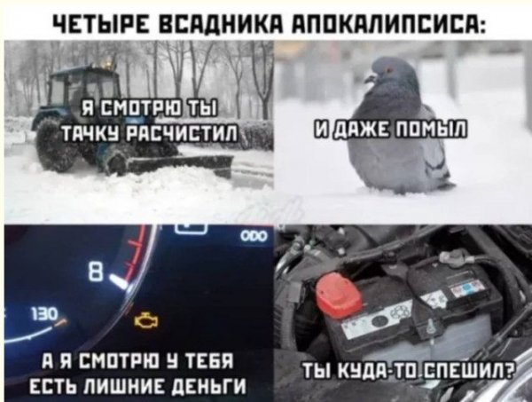 Неожиданный юмор: картинки, от которых невозможно не улыбнуться