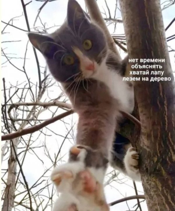 Неожиданный юмор: картинки, от которых невозможно не улыбнуться