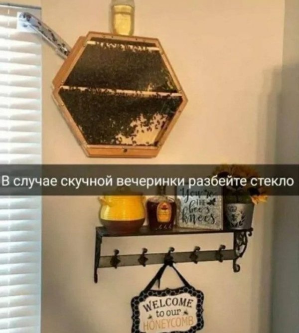 Неожиданный юмор: картинки, от которых невозможно не улыбнуться