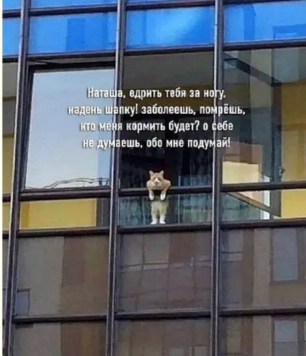 Неожиданный юмор: картинки, от которых невозможно не улыбнуться