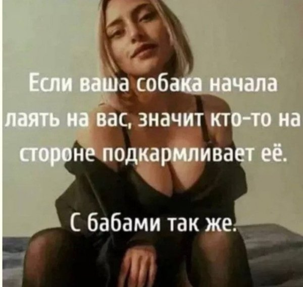 Неожиданный юмор: картинки, от которых невозможно не улыбнуться