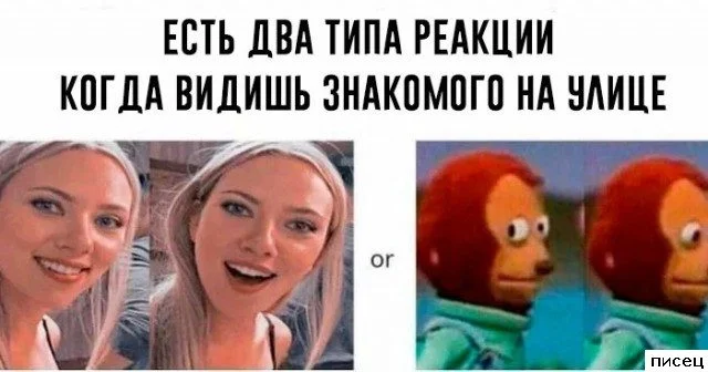 Свежая порция интернет-юмора: приколы на любой вкус