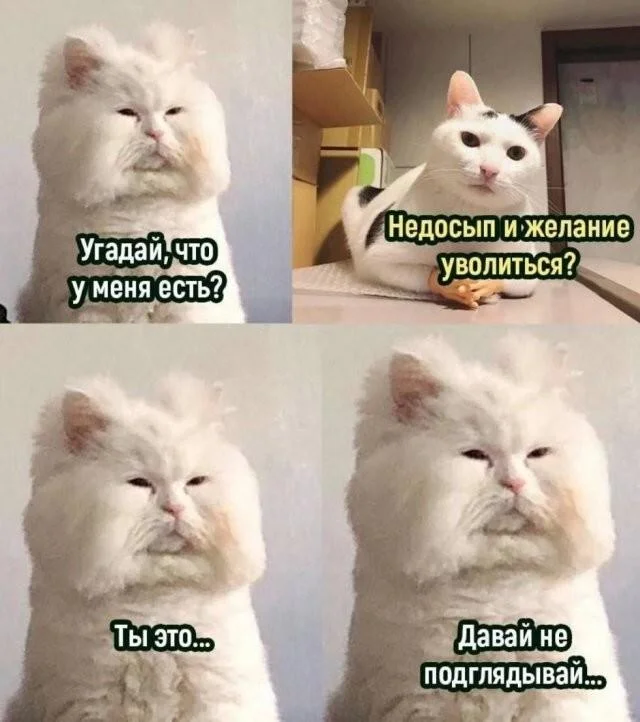 Заряд позитива на среду: картинки для солнечного настроения