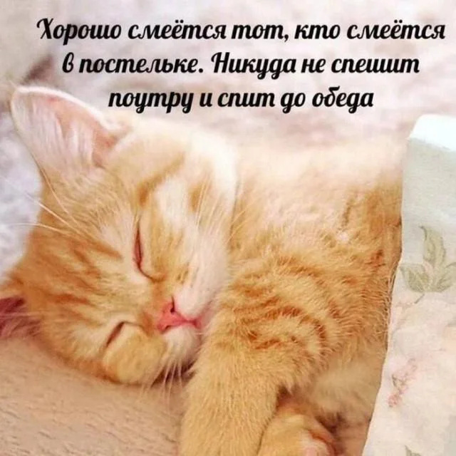 Заряд позитива на среду: картинки для солнечного настроения