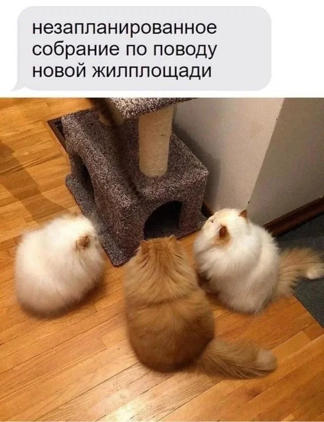 Заряд позитива на среду: картинки для солнечного настроения