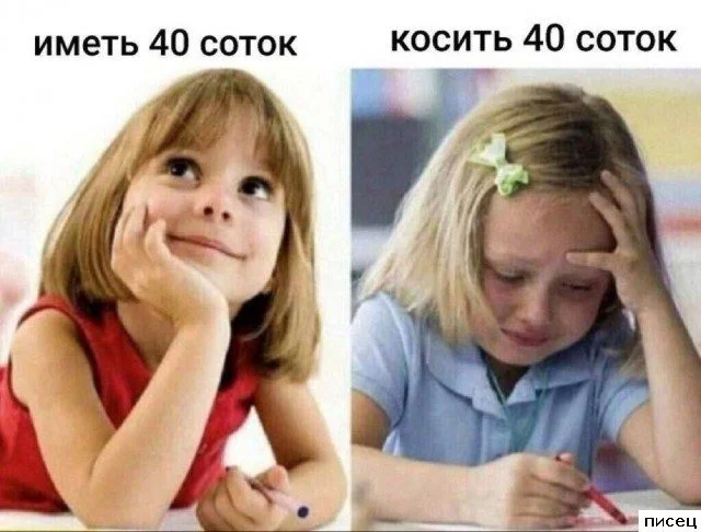 Деревенский юмор: приколы, от которых пахнет навозом и самогоном