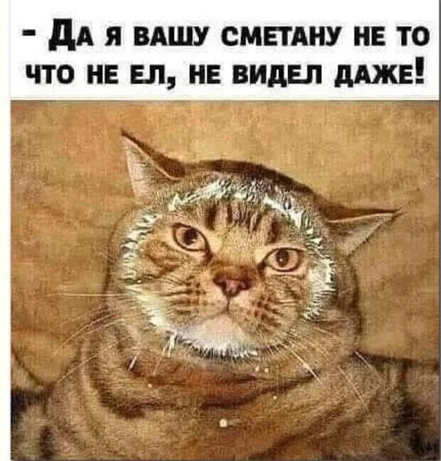 Хаос и радость: почему беспорядок иногда делает нас счастливее