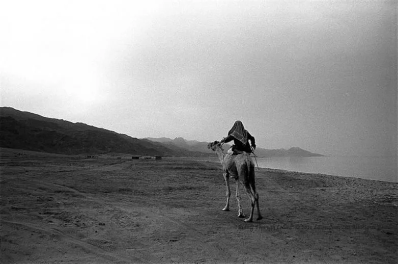 В стране кочевников: как ирландский фотограф сохраняет мир бедуинов