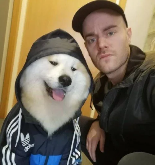 Почему в доме обязательно должен быть питомец: 18 фото, которые убедят вас