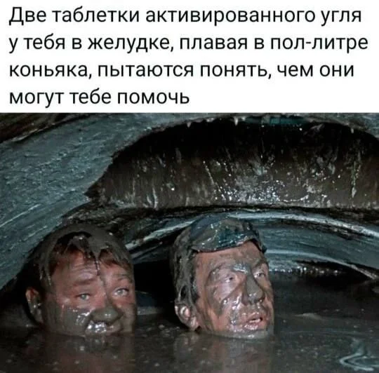 Свежая порция юмора: анекдоты и приколы на каждый день