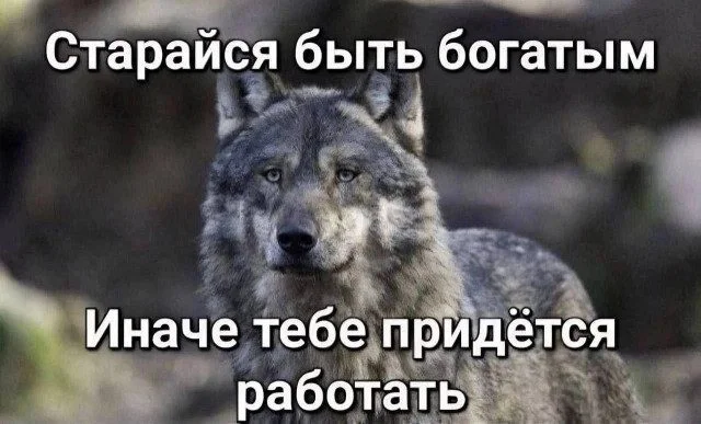 Смешная подборка мемов на любой вкус