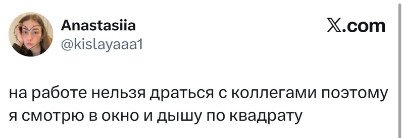 Лучшие шутки дня из X (Twitter): свежая подборка мемов