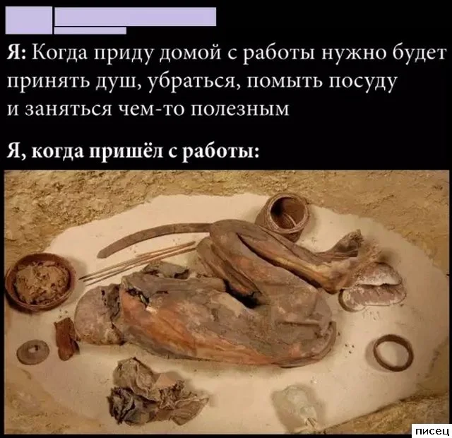 Работа не волк: смешные фото с рабочих мест