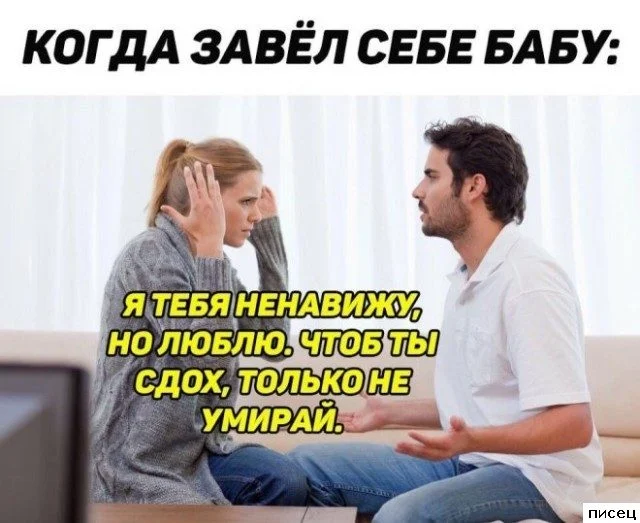 Смешные приколы Писца на тему «Когда»