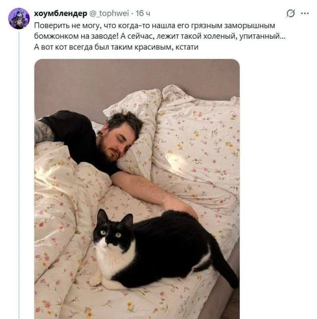 Коллекция забавных картинок без границ