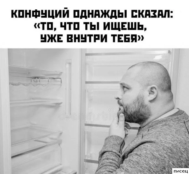 Цитаты, которые попали прямо в точку