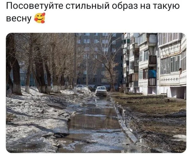 Коллекция забавных картинок без границ