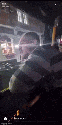 Гифки, которые заставят улыбнуться: 15 забавных анимаций для отличного настроения