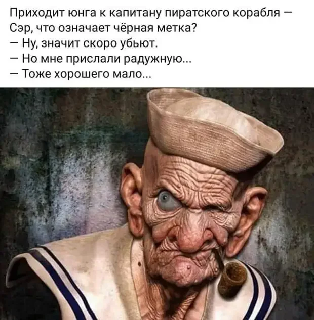 Забавные истории из жизни: от кота на ступеньках до говорящего попугая