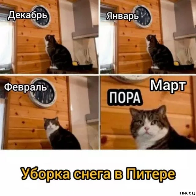 Случайная подборка для хорошего настроения