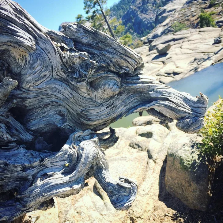 25 доказательств того, что наш мир полон неожиданных открытий 25 доказательств того, что наш мир полон неожиданных открытий