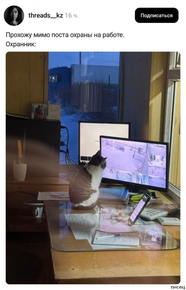 Работа не волк: смешные фото с рабочих мест