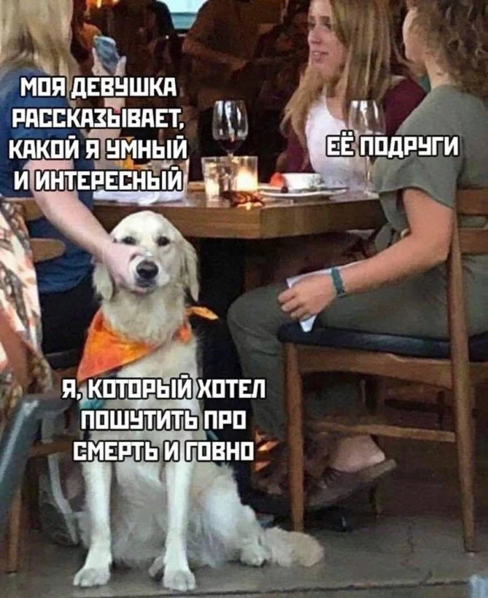 Смех до слёз: лучшие мемы и шутки для отличного дня