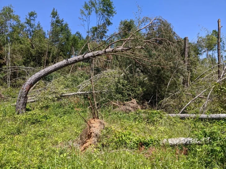25 доказательств того, что наш мир полон неожиданных открытий 25 доказательств того, что наш мир полон неожиданных открытий