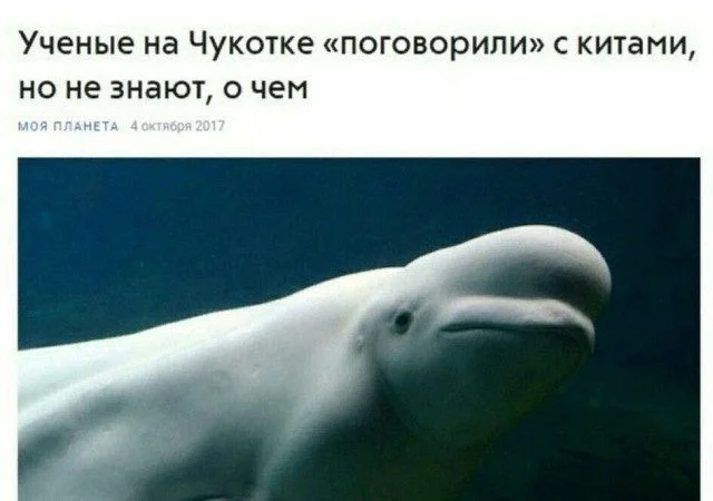 Свежая порция мемов для быстрого перерыва