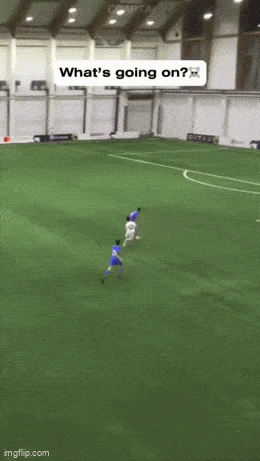 Гифки, которые заставят улыбнуться: 15 забавных анимаций для отличного настроения