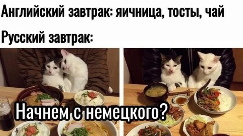 Весенний хайп: самые свежие и смешные мемы марта 2026 года