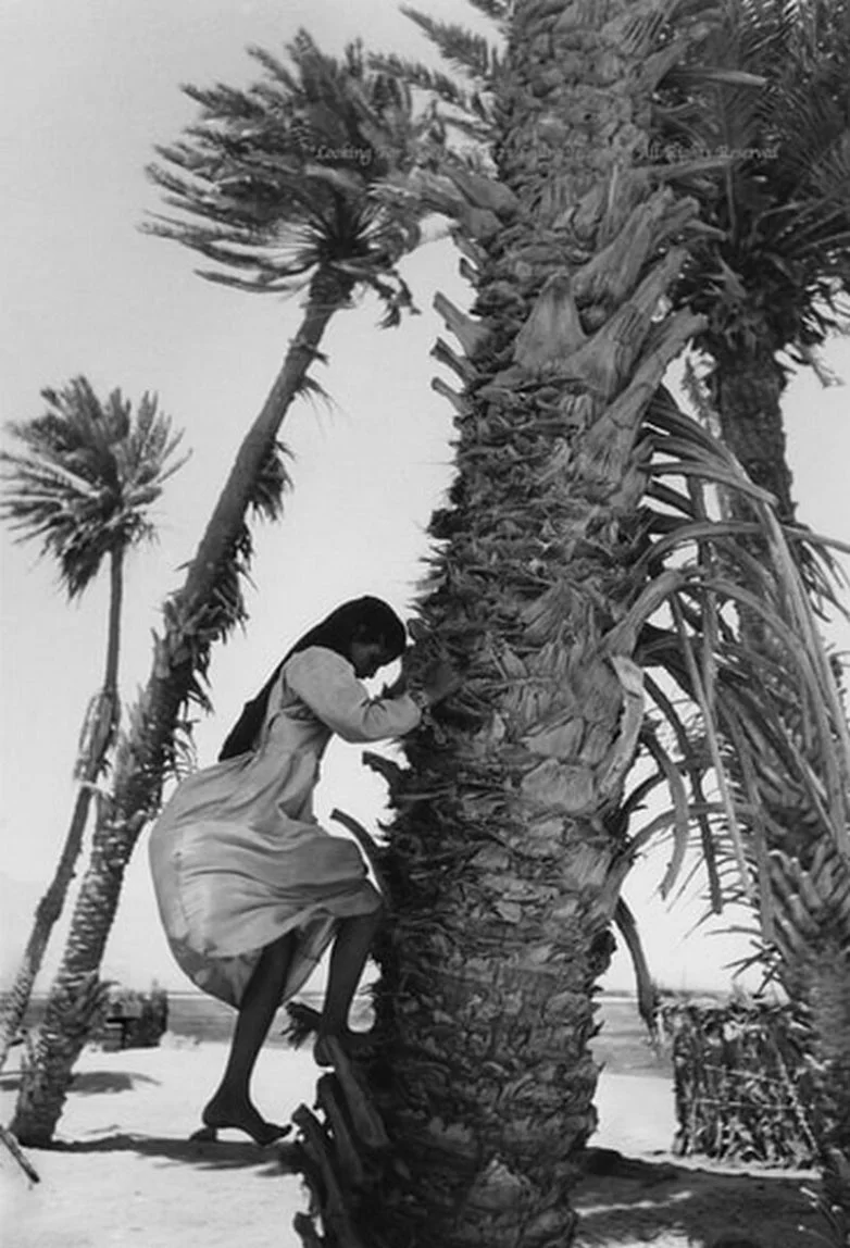 В стране кочевников: как ирландский фотограф сохраняет мир бедуинов