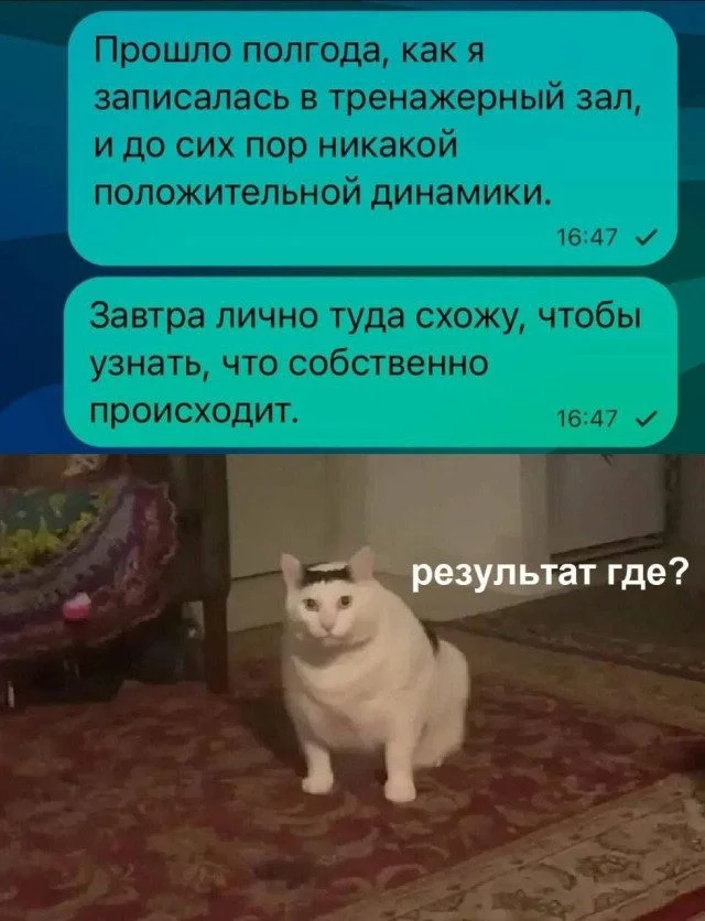 Коллекция забавных картинок без границ