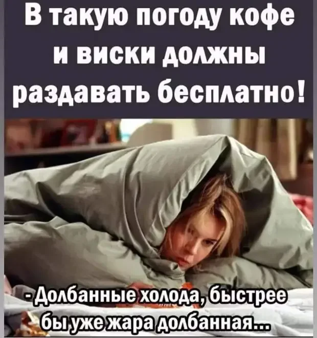 Забавные истории из жизни: от кота на ступеньках до говорящего попугая