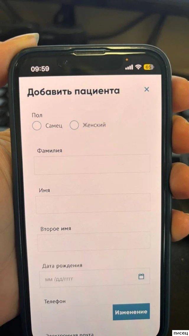 Безумный поток сознания: самые прикольные надписи со всего интернета