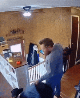 Гифки, которые заставят улыбнуться: 15 забавных анимаций для отличного настроения