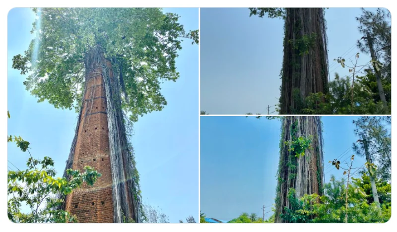 25 доказательств того, что наш мир полон неожиданных открытий 25 доказательств того, что наш мир полон неожиданных открытий