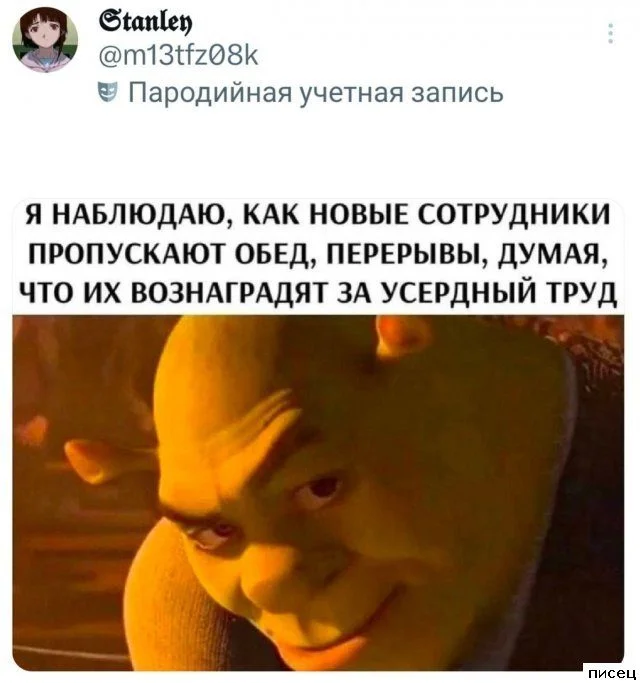 Работа не волк: смешные фото с рабочих мест