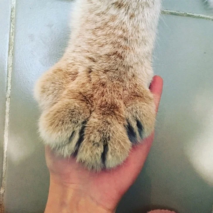 25 доказательств того, что наш мир полон неожиданных открытий 25 доказательств того, что наш мир полон неожиданных открытий